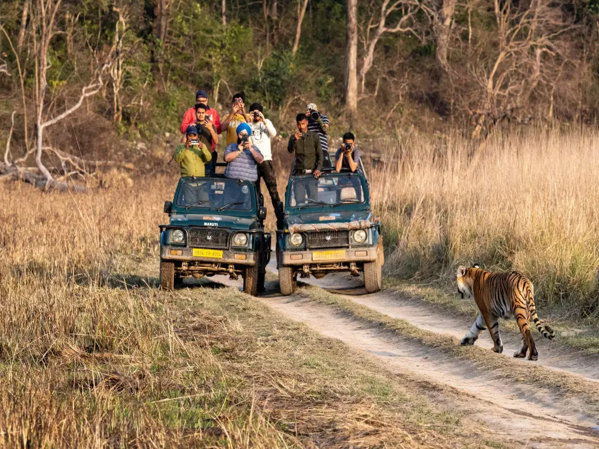 Jeep Safari Corbett